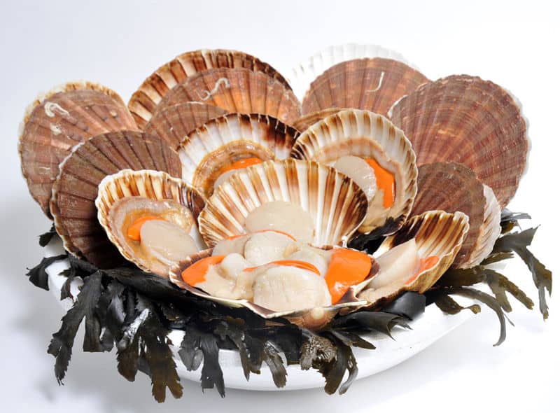 Coquilles-St-Jacques