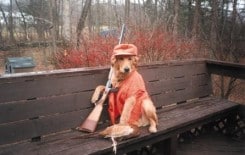 dog_hunter