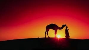 SAHARA MAROCAIN/ INFOTRAVEL.FR