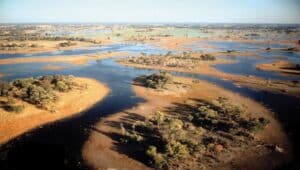 okavango/ infotravel.fr
