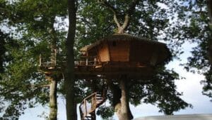 Caché dans les arbres. Infotravel.fr