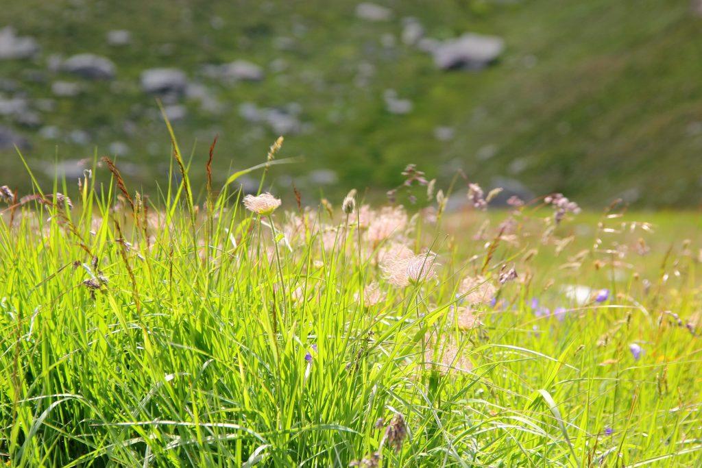 Promenade et nature. Photo Fabienne Dupuis