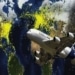 Transport Aérien Mondial : Des Faits et des Chiffres