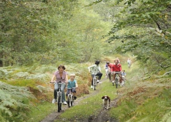 Velo en foret-Oise Tourisme Jean-Pierre Gilson