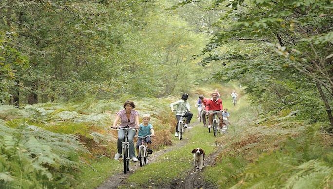 Velo en foret-Oise Tourisme Jean-Pierre Gilson