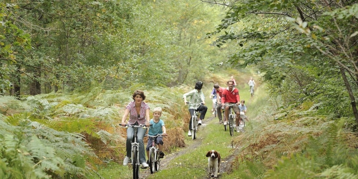 Velo en foret-Oise Tourisme Jean-Pierre Gilson