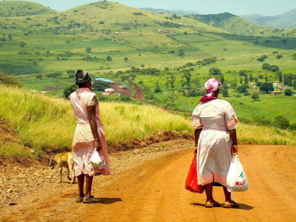 AFRIQUE DU SUD ROBERT KASSOUS
