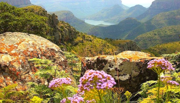 AFRIQUE DU SUD ROBERT KASSOUS