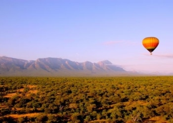 AFRIQUE DU SUD ROBERT KASSOUS