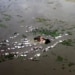 Inondations en Thaïlande = moins de touristes