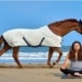 Deauville: Le cheval et la plage...