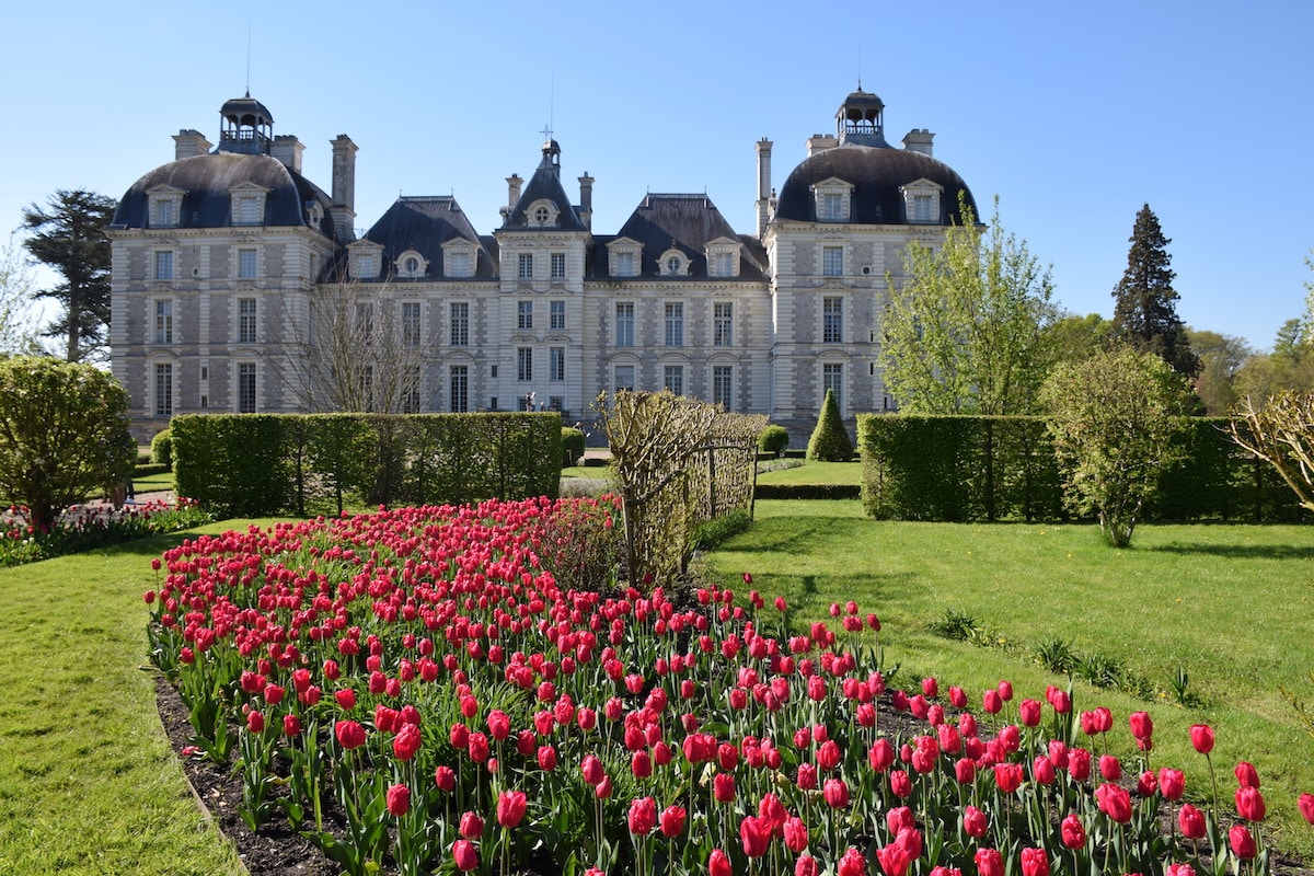 Château de Cheverny , France Loire, TINTIN, SUITE