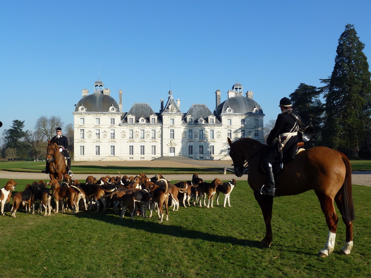 Château de Cheverny , France Loire, TINTIN, SUITE