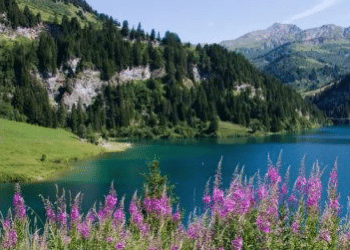 Arêches-Beaufort (Savoie) Un été au paradis...