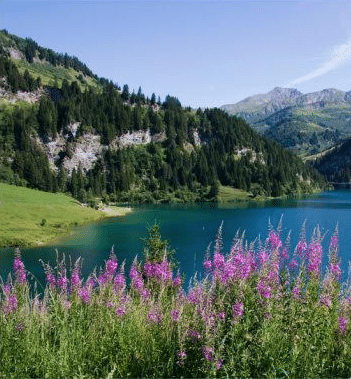 Arêches-Beaufort (Savoie) Un été au paradis...