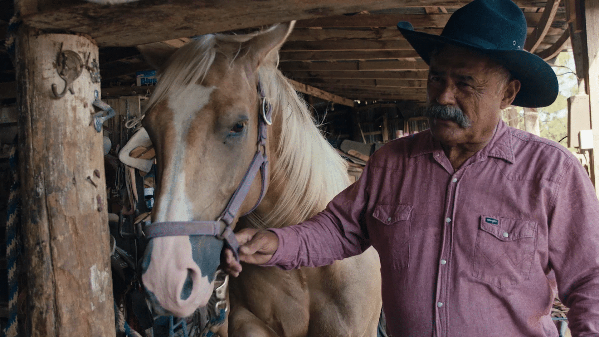 Americanos : Une série documentaire et un voyage originale