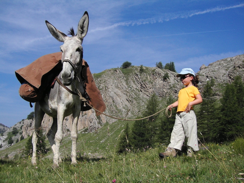 Randonner avec un âne