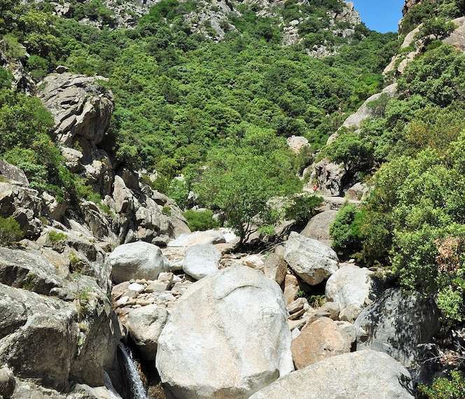 Les joies de la montagne en été