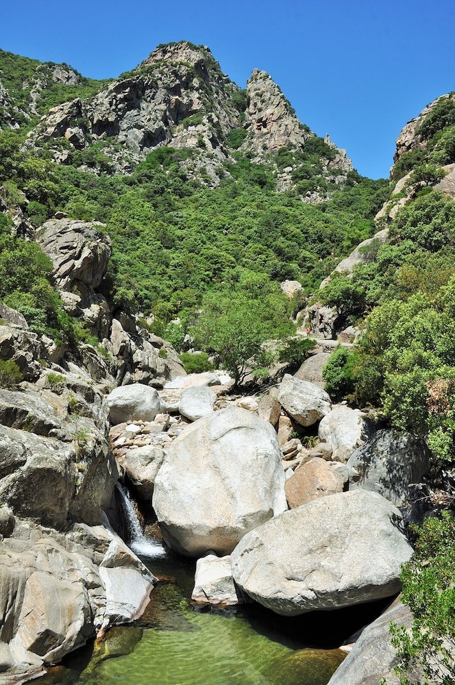 Les joies de la montagne en été