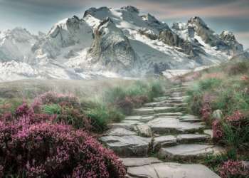 Les joies de la montagne en été