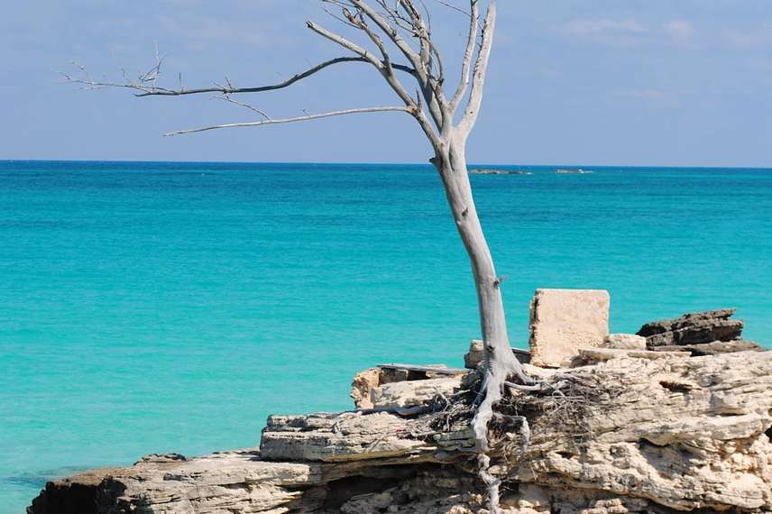 Les bonnes raisons de choisir la Martinique