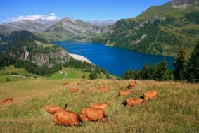 Arêches-Beaufort (Savoie) Un été au paradis...