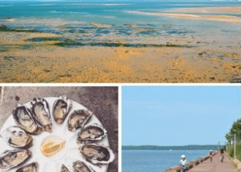 MÉDOC ATLANTIQUE - GIRONDE LES NOUVEAUTÉS DE L'ÉTÉ