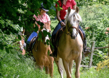 Un été à cheval en pleine nature