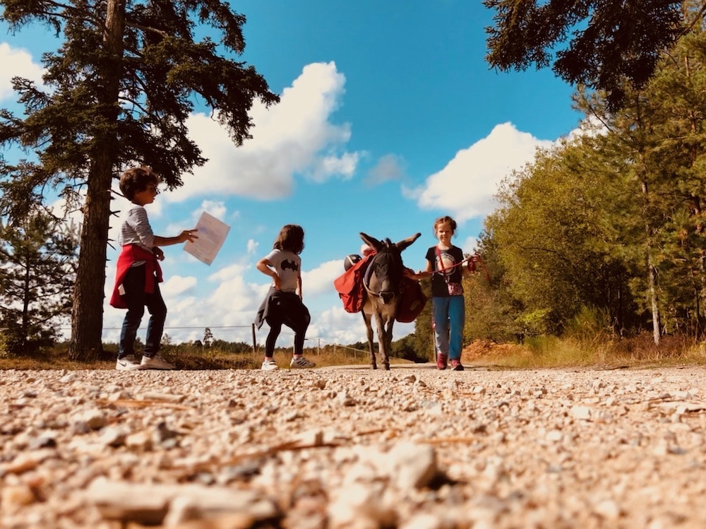 Accueil Paysan Val de Loire: L'été sera vert !