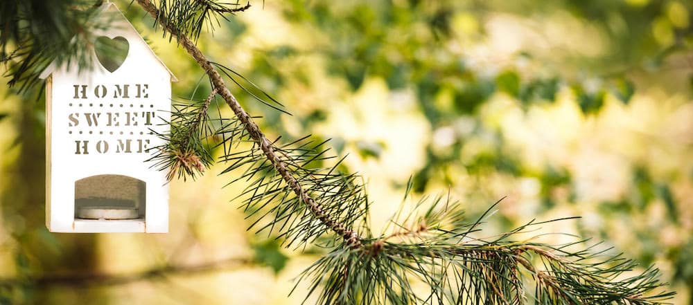 Accueil Paysan Val de Loire: L'été sera vert !