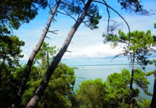 MÉDOC ATLANTIQUE - GIRONDE LES NOUVEAUTÉS DE L'ÉTÉ