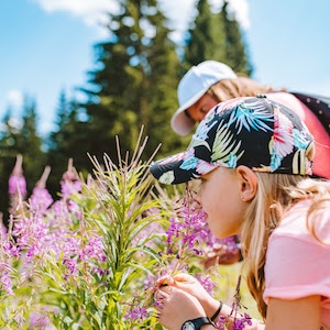 Morzine : De nouvelles activités tout l’été !