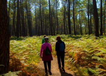 découvrir le Val de l'Eyre