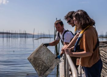 BASSIN D ARCACHON