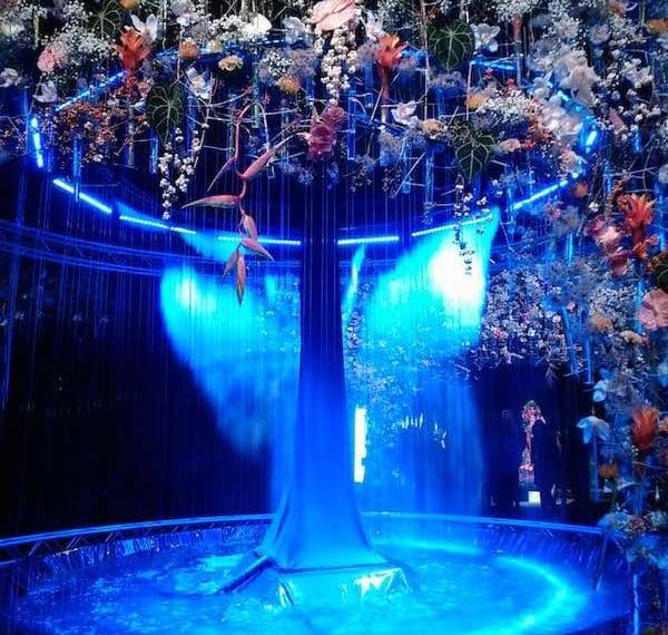  Mulhouse Jusqu'au 11 octobre fête les 20 ans du Grand Jardin de Folie’Flore au Parc Expo. 