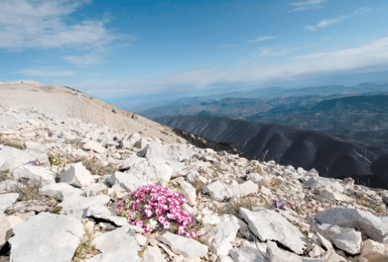 Le Parc du Ventoux