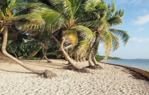 La Martinique de plage en plage