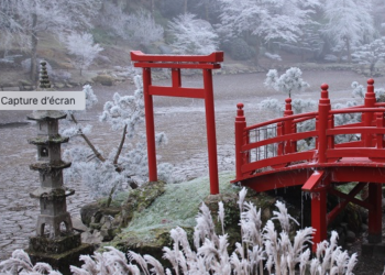 https://www.infotravel.fr/actualites/les-chefs-francais-solidaire-du-japon/