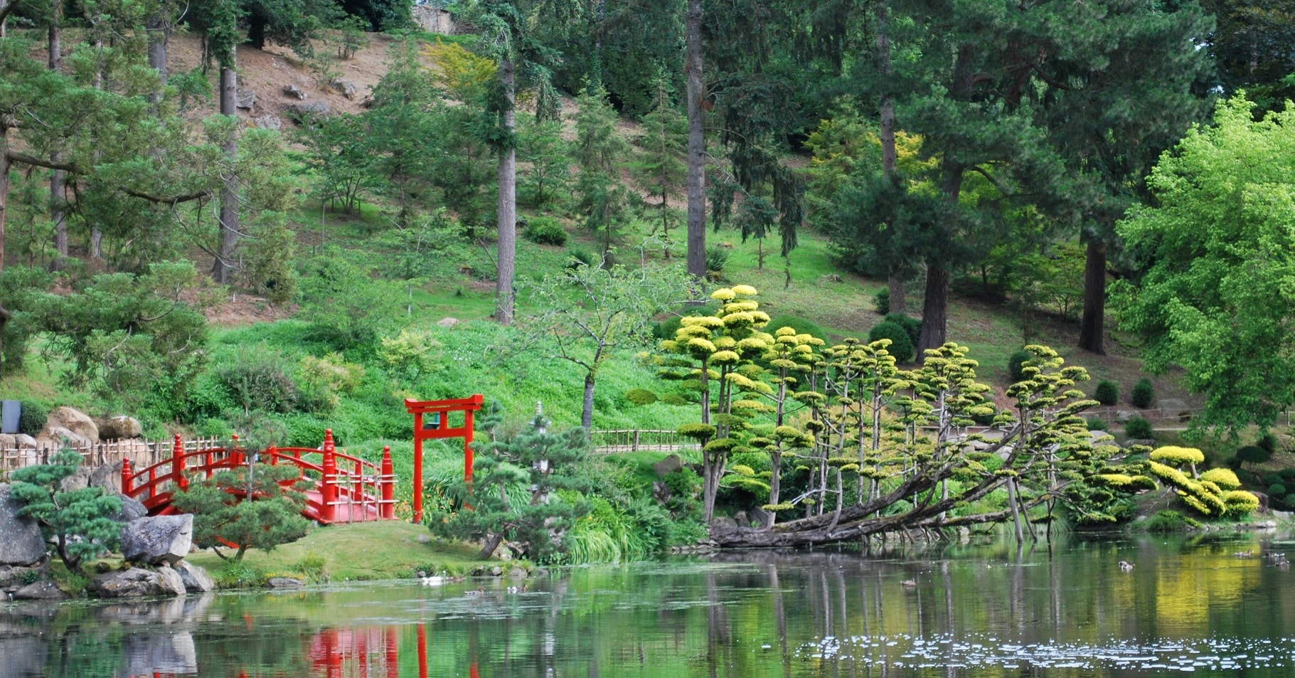 Le Parc Oriental de Maulévrier,