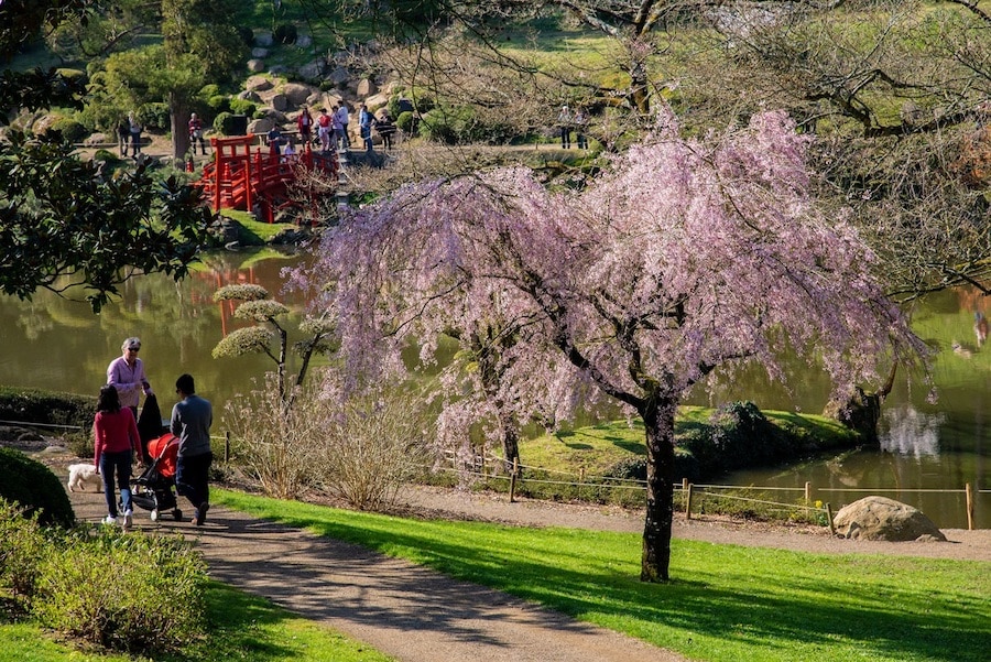 Le Parc Oriental de Maulévrier,