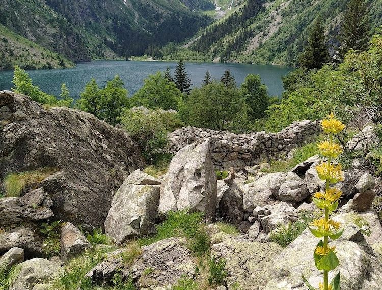 Parc National des Écrins : Le retour à la nature