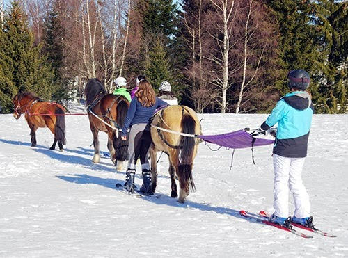 Quand le cheval remplace le ski