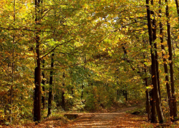 Val d'Oise : Immersion en pleine nature 