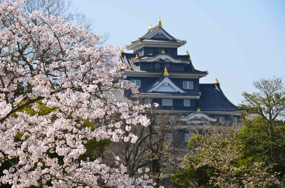 Japon : Les cerisiers en fleurs de Setouchi