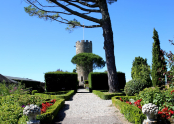 Corrèze : Flaveurs et Patrimoine au Pays de Brive la Gaillarde