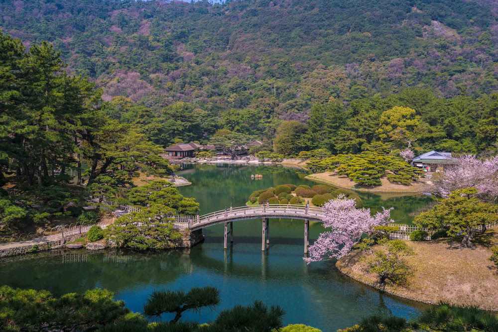 Japon : Les cerisiers en fleurs de Setouchi