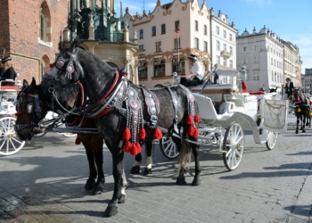Pologne Cracovie