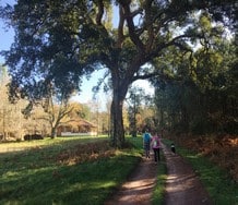 Un bain de nature dans les Landes