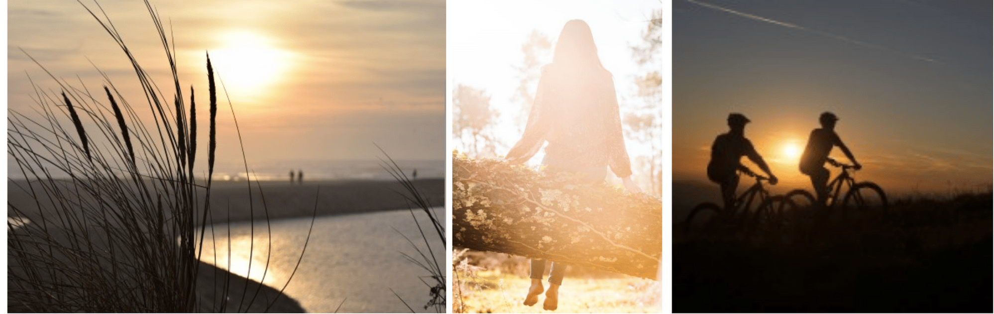 Un bain de nature dans les Landes