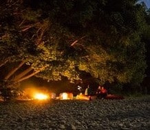 Un bain de nature dans les Landes 